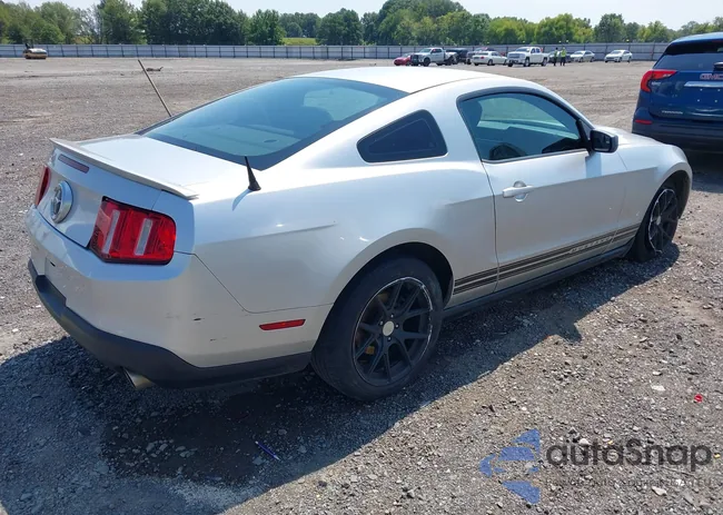 1ZVBP8AM4C5234747: 43123966