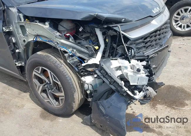 KNDPU3AF6P7033867: 43125359