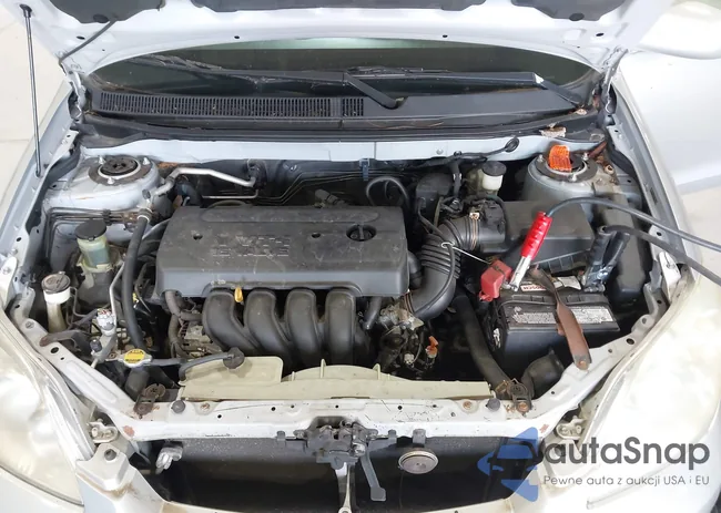 2T1LR32E56C562438: 43125639