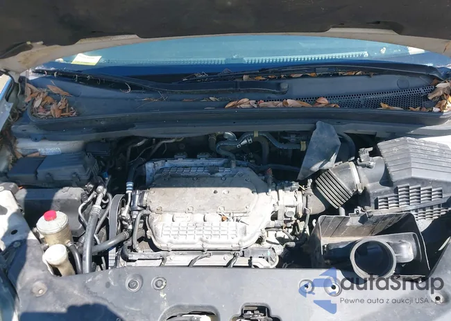 5FNRL38817B042103: 43124855