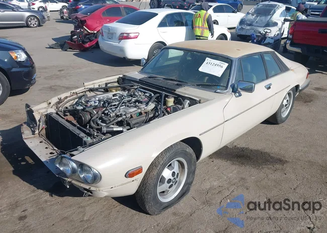 SAJNV5846FC117893: 43124956