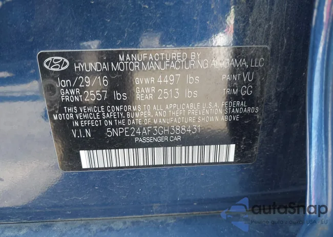 5NPE24AF3GH388431: 43125776