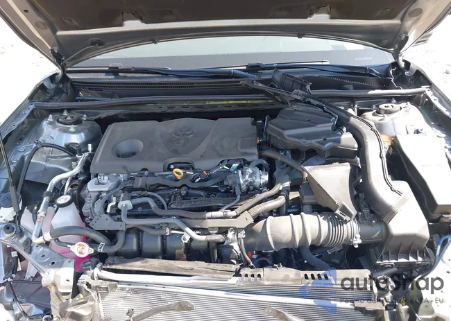 4T1DBADK9SU528124: 43125839