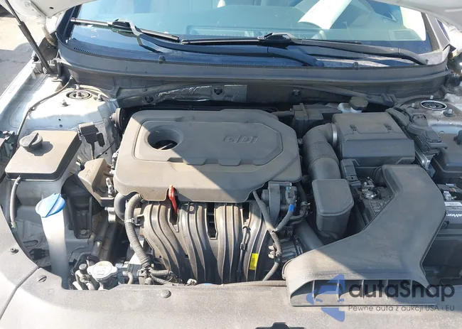 5NPE24AF2JH680983: 43128308