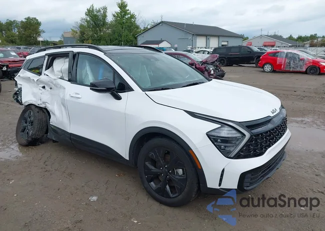 5XYK6CDF2SG309053: 43129231