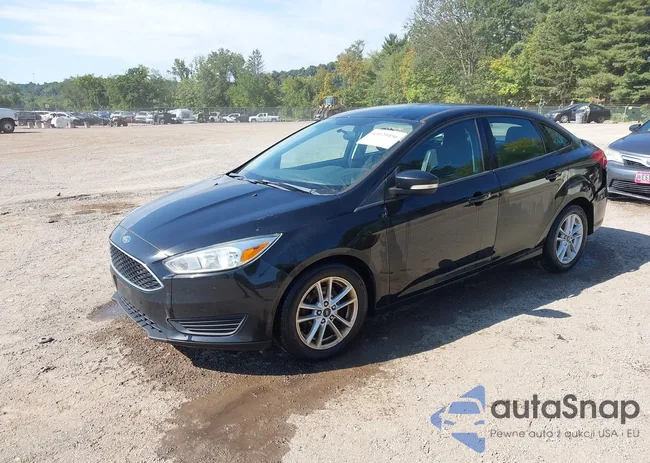 1FADP3F23HL228839: 43129456