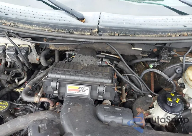 1FTPW14535FA83596: 43129557