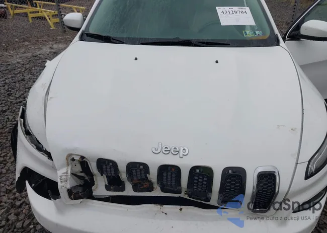 1C4PJLDB1FW732815: 43128704