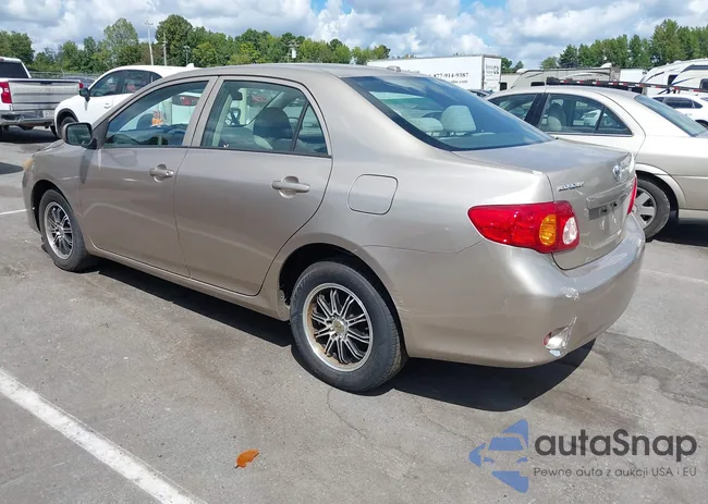 2T1BU4EEXAC488423: 43130205