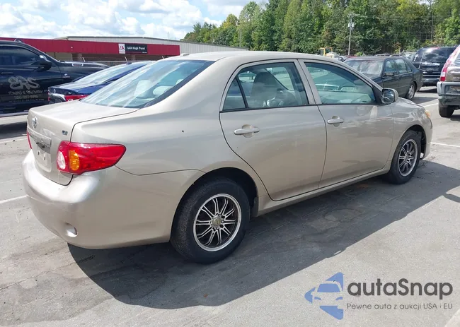 2T1BU4EEXAC488423: 43130205