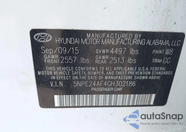 5NPE24AF4GH302186: 43129734