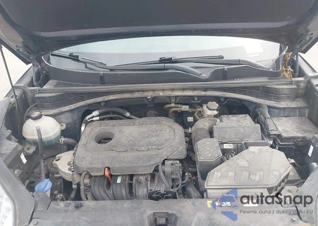 KNDPMCAC0L7729902: 43132100