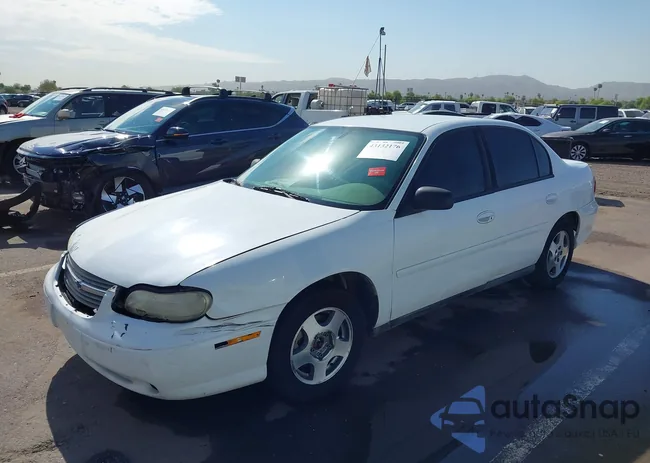 1G1ND52F85M103135: 43132176