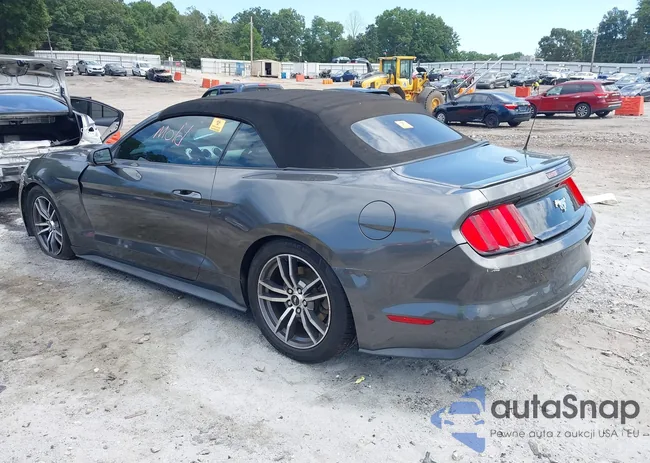 1FATP8UH1G5291425: 43132600