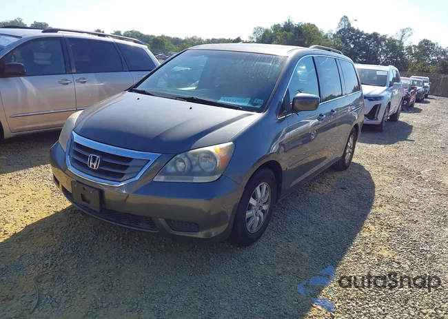 5FNRL38648B094518: 43131932