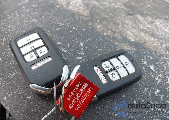 5FNRL5H36HB001838: 43131980