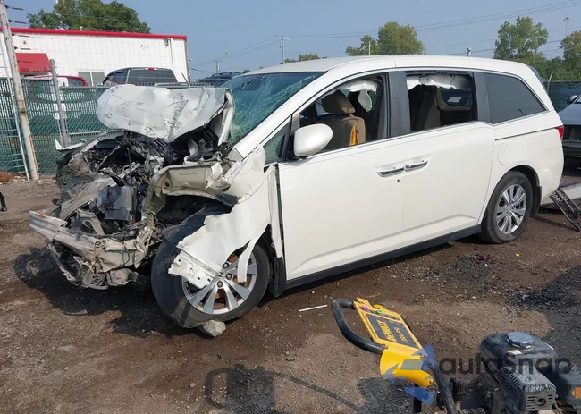 5FNRL5H36HB001838: 43131980