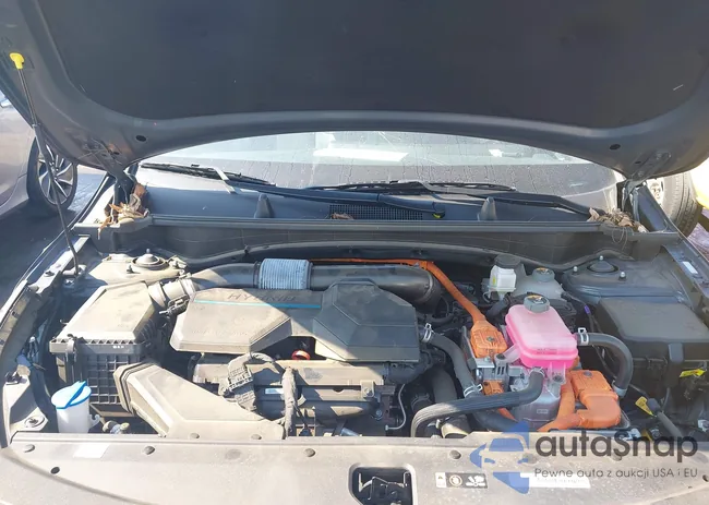 KNDPVCAG9P7077139: 43133239