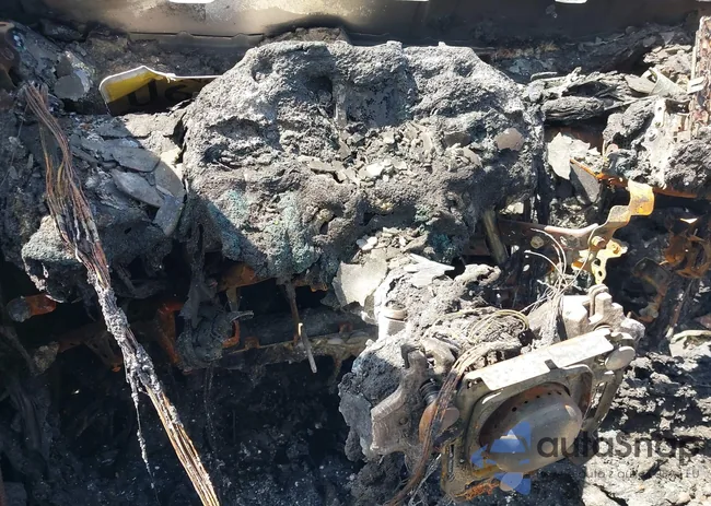 4T1S31AK0MU566675: 43133245