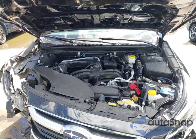 4S4BTAMC0N3265206: 43133439