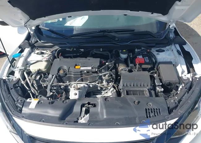 2HGFC2F64LH528781: 43134617