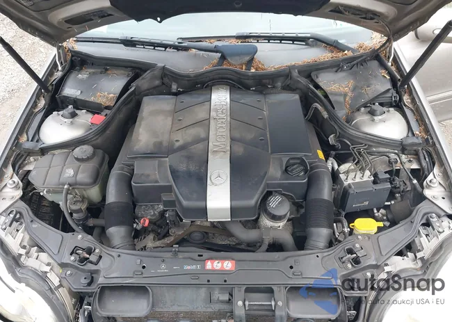 WDBRF84J55F585815: 43134636