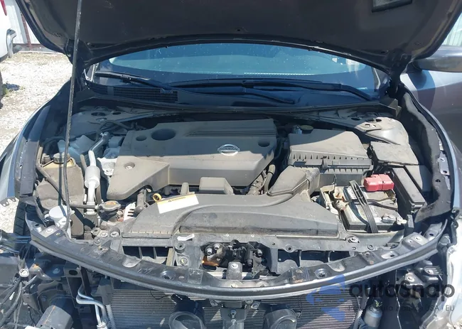 1N4AL3AP7FC213050: 43135504