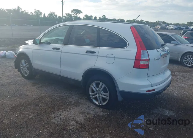 5J6RE3H55AL028851: 43135543