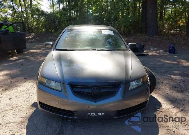 19UUA66205A017281: 43135565