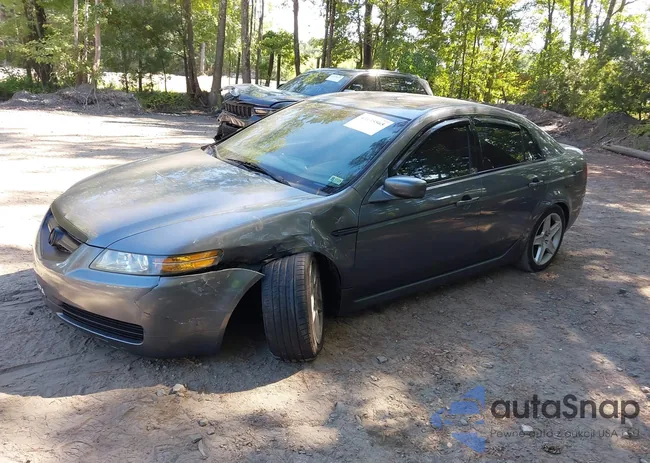 19UUA66205A017281: 43135565