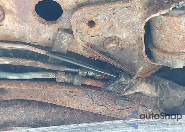 MOLLYLESSING: 43135579