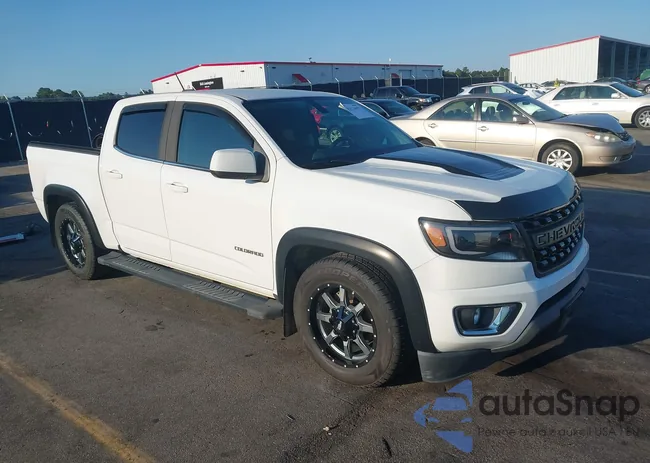 1GCGSCEN3K1185706: 43134697