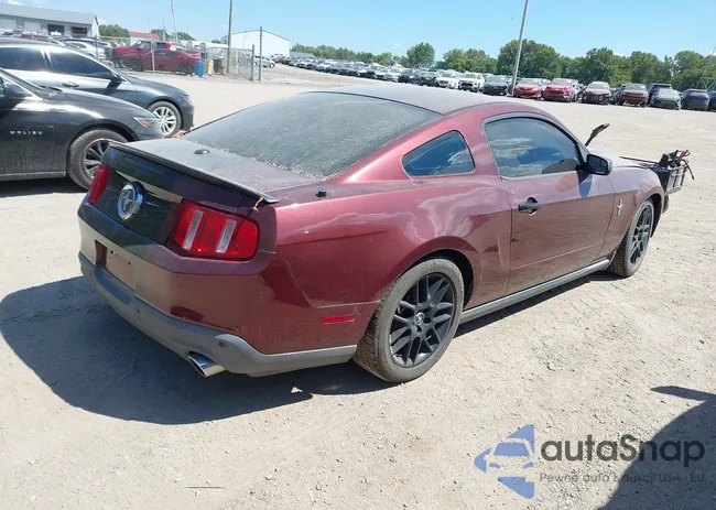 1ZVBP8AM6C5215634: 43134761