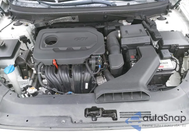 5NPE24AF9JH654106: 43134789