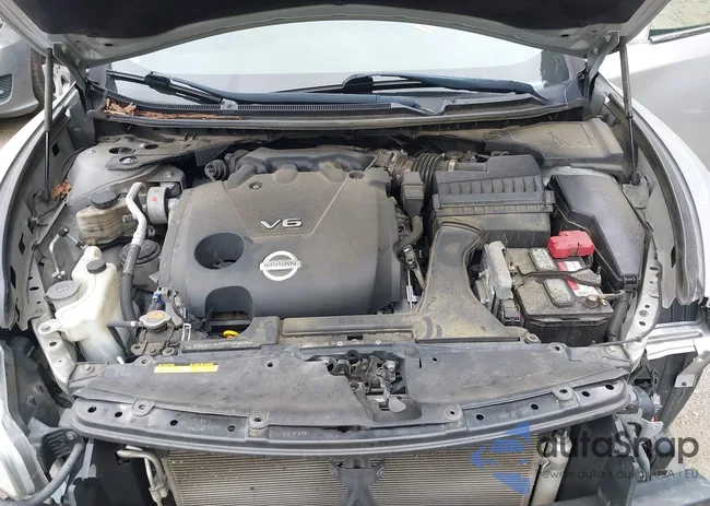 1N4AA5AP7DC813775: 43134828