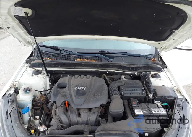 KNAGM4A77F5585500: 43136364