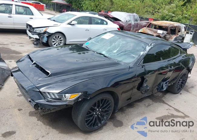 1FA6P8CF5G5206793: 43135831