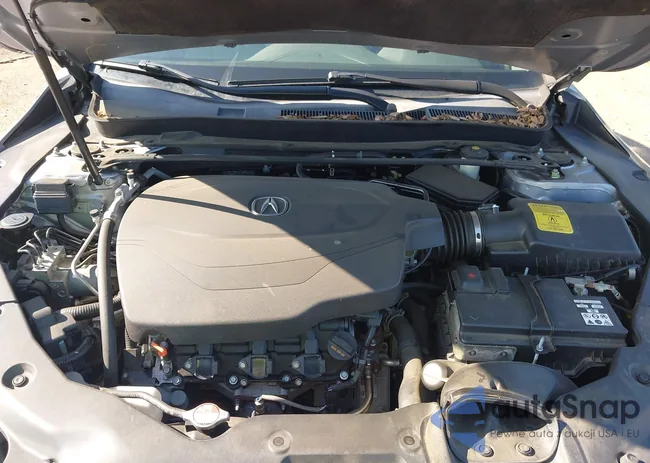 19UUB2F54FA017818: 43135949