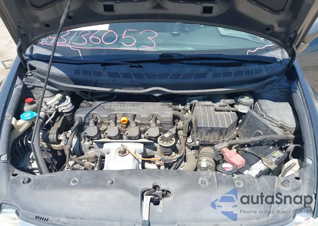 2HGFA1F53BH503764: 43136053