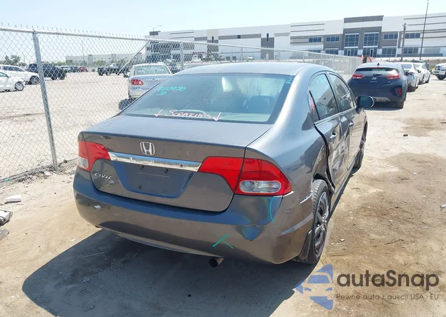 2HGFA1F53BH503764: 43136053