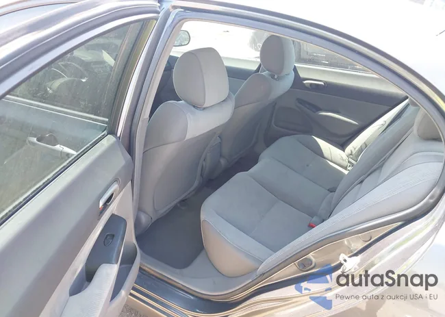 2HGFA1F53BH503764: 43136053