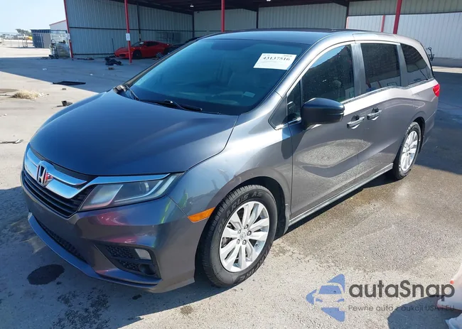 5FNRL6H28JB016988: 43137516