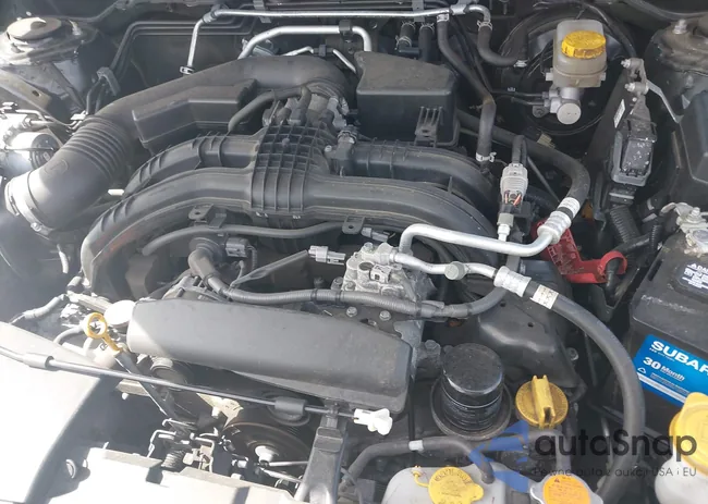 JF2GTANC1K8292455: 43137575