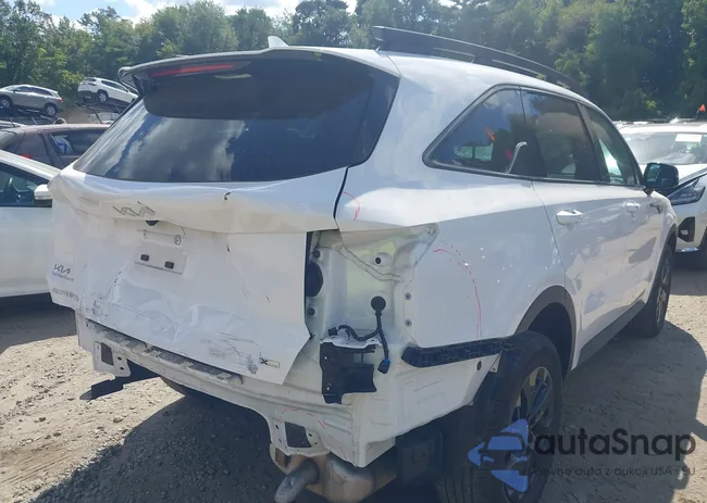 5XYRLDLC0PG221632: 43136987