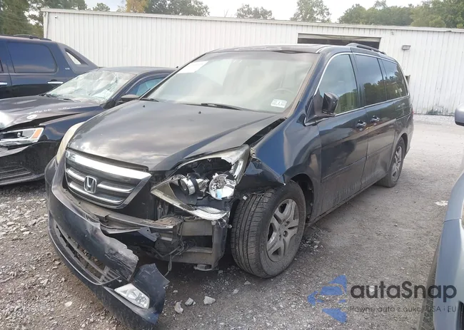 5FNRL38726B437350: 43137019