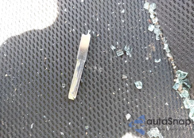 1FADP3F24EL409427: 43138346