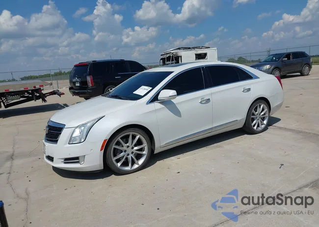 2G61P5S36G9142781: 43138590