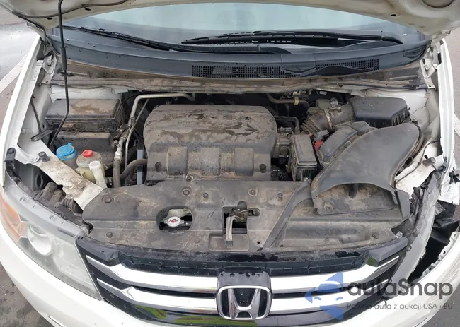 5FNRL5H69GB065462: 43137700