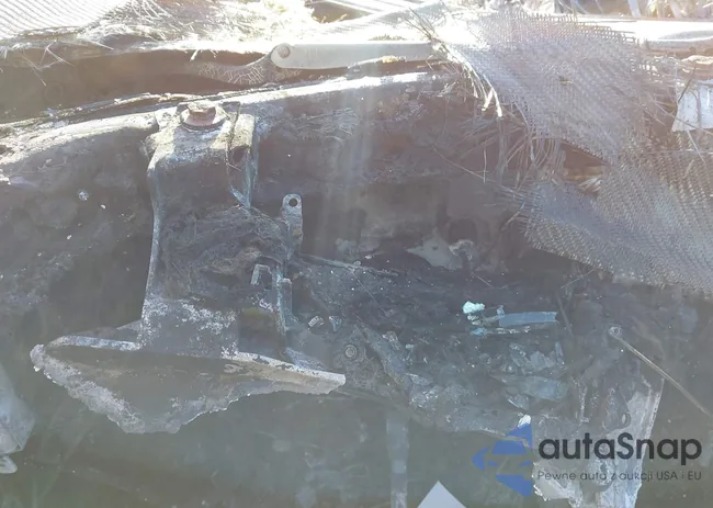 WZ1DB4C05LW024246: 43138000