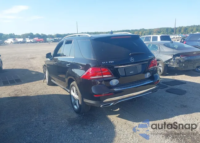 4JGDA5HB9JB061883: 43138051